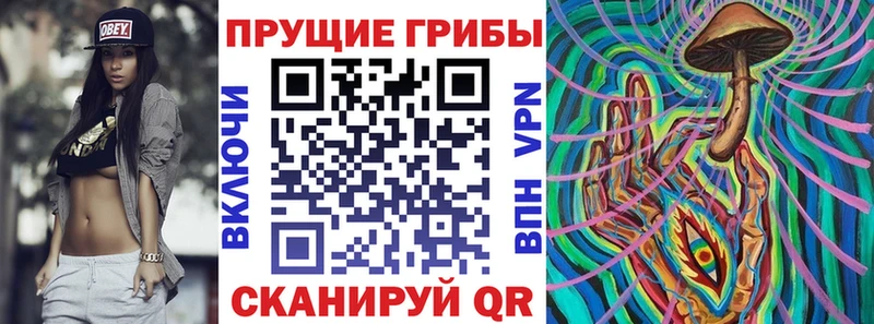 сайты даркнета как зайти  Белореченск  Псилоцибиновые грибы Cubensis  МЕГА tor 