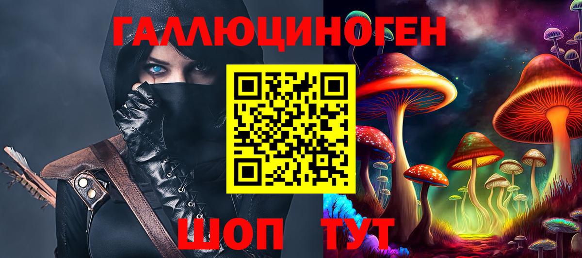 Псилоцибиновые грибы Psilocybine cubensis Белореченск