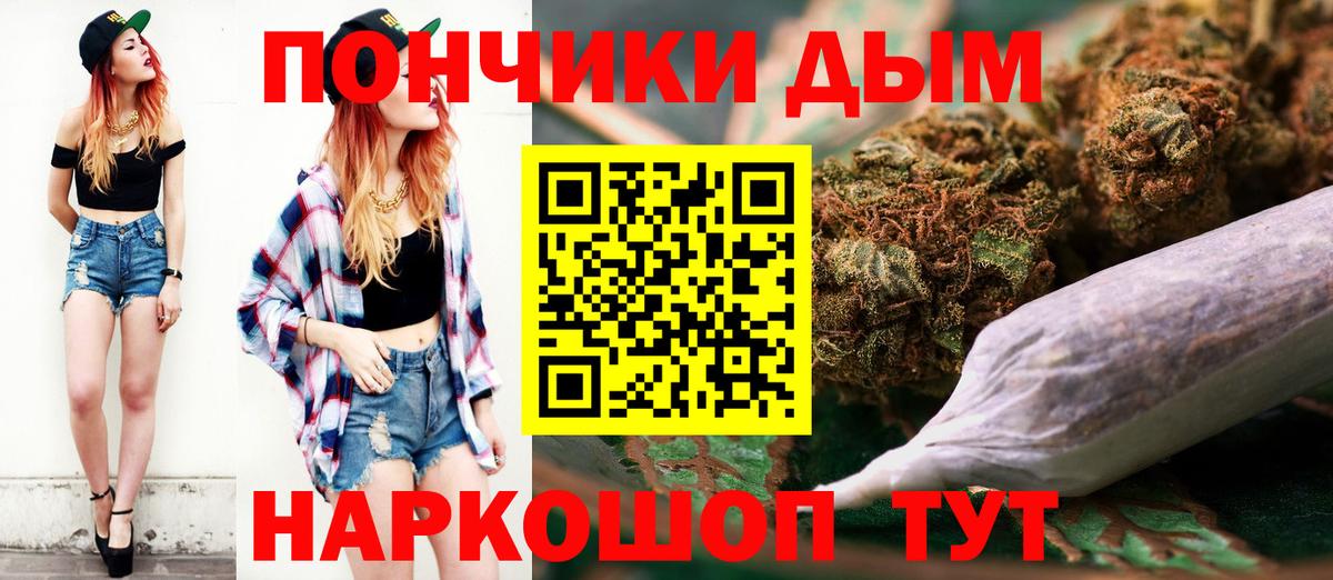 Конопля Bruce Banner  Бошки марихуана сатива  Белореченск  Конопля Bruce Banner 